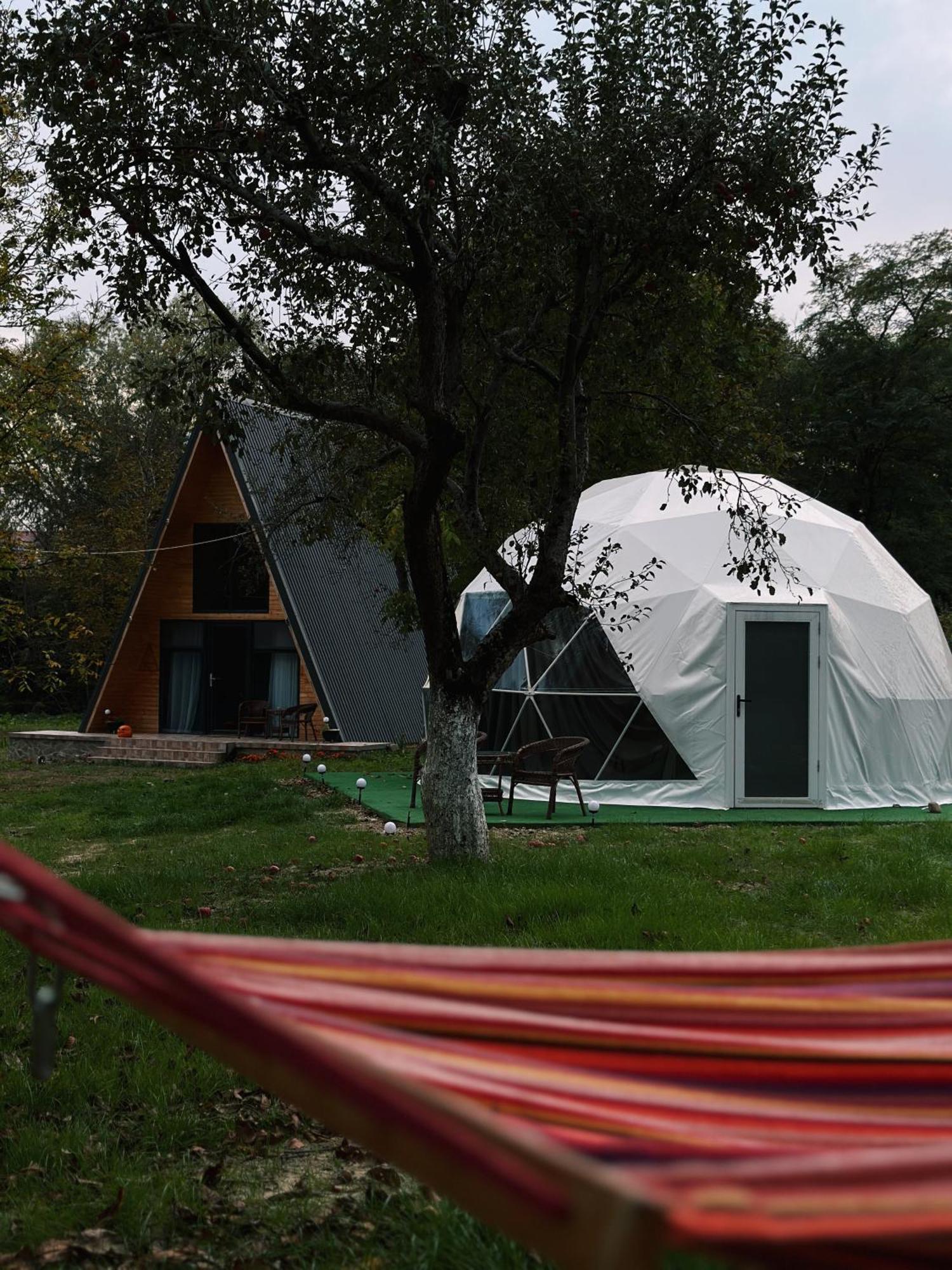 The Frog Glamping Hotel Horezu Exterior photo